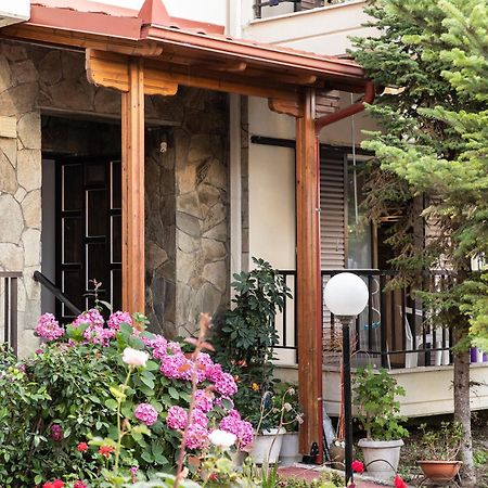 Manos Kritikakis Apartments Platamonas Bagian luar foto